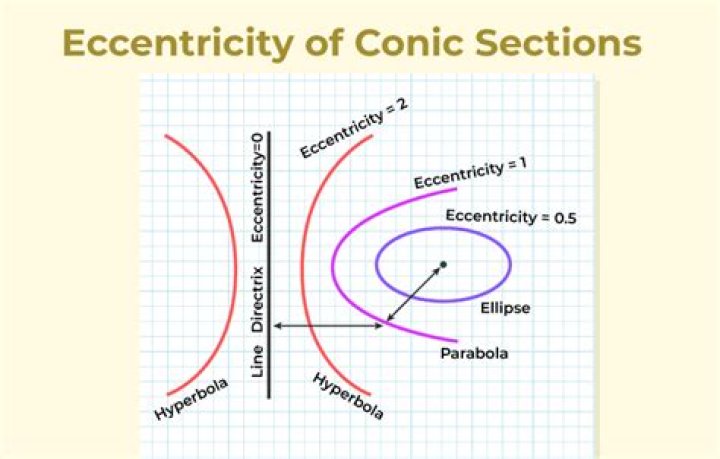 A Journey Of Fortune, Fame, And Eccentricity