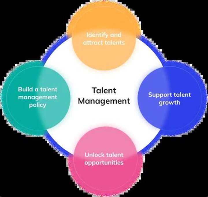 A Window Into Talent And Impact