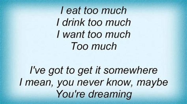 Dave Matthews Band Too Much Lyrics ·
