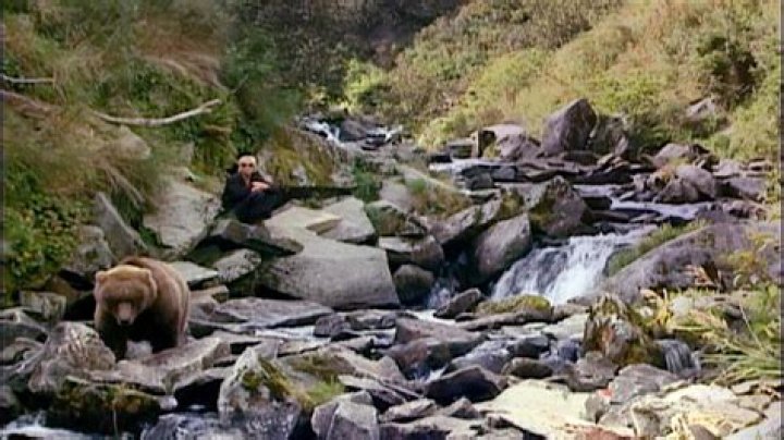 Timothy Treadwell Autopsy Photos