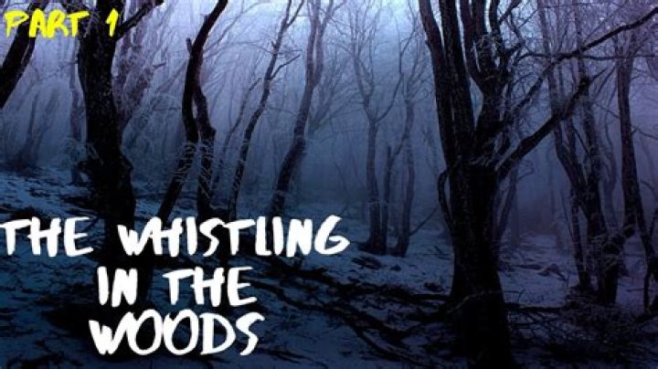 Why Whistling In The Woods Is Not A Melody